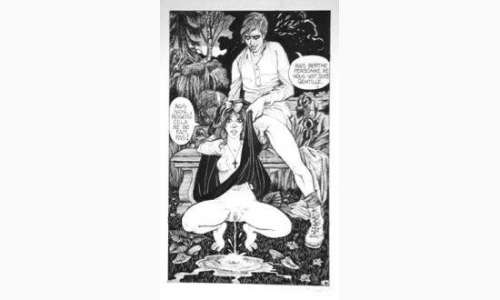 PLANCHES et DESSINS ORIGINAUX PICHARD. â€œLes Exploits d’un Don Juanâ€. Encre | Tessier Sarrou