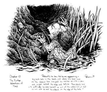 David Petersen | Toad crawls into a hole Original Art | David Petersen