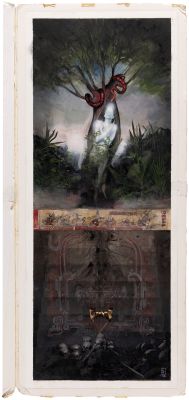 "WAY OF THE SORCERER" EXTENSIVE LOT OF ORIGINAL ART BOARDS FOR UNPUBLISHED BOOK BY MIKE DRINGENBERG. | Hake’s