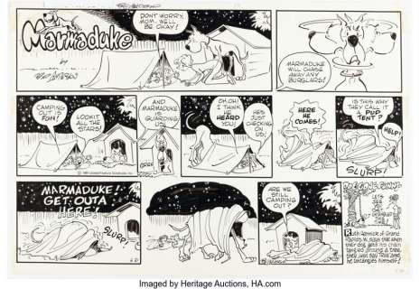 Anderson, Brad - Brad Anderson Marmaduke Sunday Comic Strip Original Art dated 6-21-81(United Feature Syndicate, 1981). ...