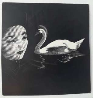 Karel Thole - illustrazione originale "Il Cigno" - Loose page | Catawiki