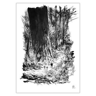 Edouard Cour - Soli Deo Gloria - page originale 50