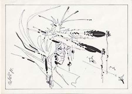 Comès, Didier | Comès, Didier - Dessin original - Amérindien - (1985) | Catawiki