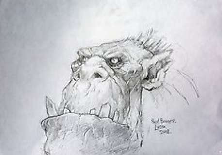 Paul Bonner | Paul Bonner Illustrazione originale - "Orchetto" - Matita su carta - 30x42cm - (2018) | Catawiki