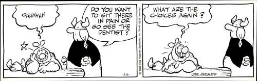 Browne - HAGAR THE HORRIBLE Daily Strip (07/12/1988) | Russ Cochran