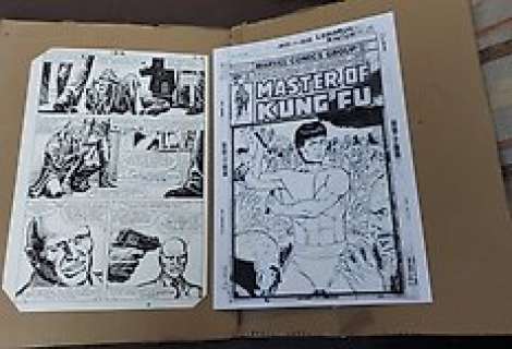 William Johnson/Chan - Leonardo Rocha - 2 Original page - Master of Kung Fu | Catawiki