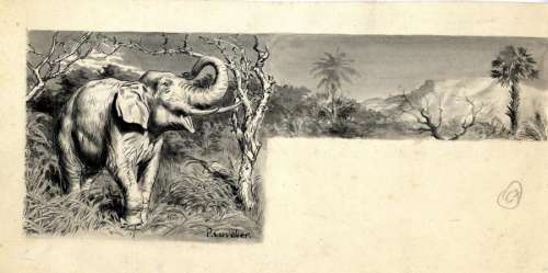 CUVELIER, Paul | Sadde