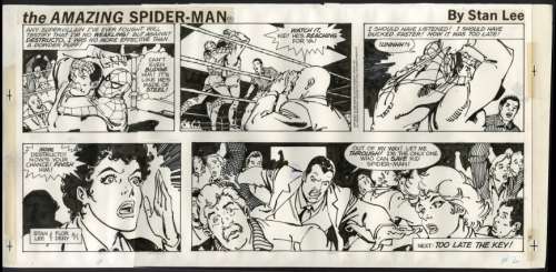 Dery, Floro - SPIDER-MAN SUNDAY STRIP Strip Art