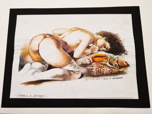 G. Gariani - Illustration originale - Druuna - "Nudo e Conchiglie" - Omaggio al maestro Serpieri - 2003 | Catawiki