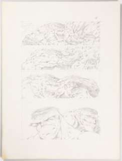 Bernie Wrightson - Hulk Unpublished Page 14 Original Art (Marvel Comics, c. 1980s).... | Heritage