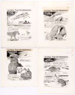George Wheeler Walt Disney’s True Life Adventures Daily Comic Strip Original Art Group of 6 (King Features Syndica... (Total: 6 Original Art) | Heritage