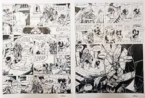 Crisse (Chrispeels, Didier) | 2 Planches originales (p.14 + p.15)  - L’épée de Cristal  - Tome 02  - Le Regard de Wenlok | Catawiki