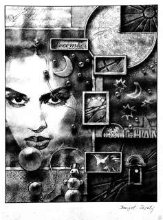 45: DANIJEL ZEZELIJ Dicembre | Little Nemo