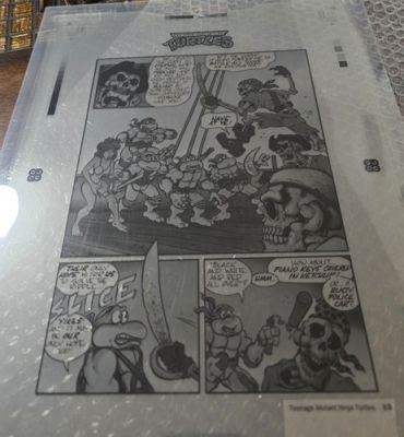 Original Production Cel- 4-Layer Set 1993 TMNT Summer Magazine Mini Comic Pg #13 | eBay US (Buy It Now)