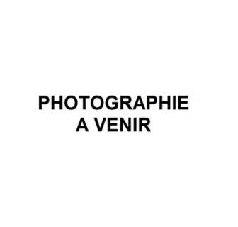 Faure Michel Crin... | FAURE Michel Crin Blanc Couverture de l’album Crin... | Vermot et Associés