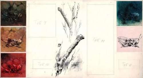 Hausman. Lot de 3 illustrations originales | BDEnchères