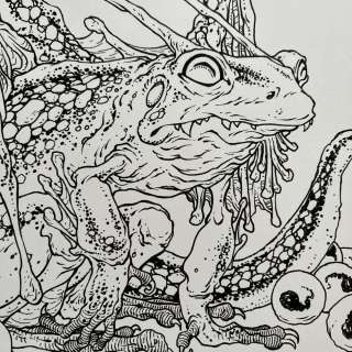 David Petersen | Copper Frog Dragon | David Petersen