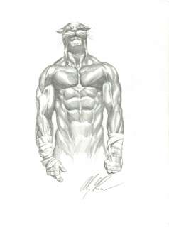 ALEX ROSS ORIGINAL WILDCAT ART Sketch | ComicConnect