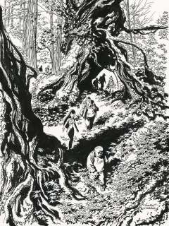 Didier Conrad - Né en 1959