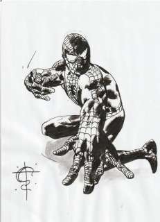 Tony Salmons | Spider Man | Agency Artwork