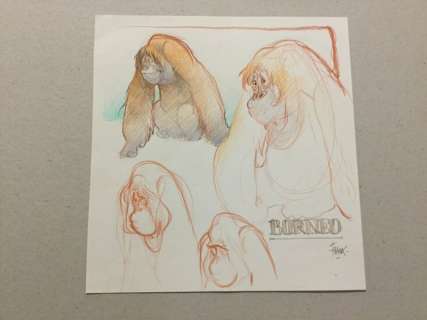 Frank Pé - Dessin original en couleur - Spirou La lumière de Bornéo - Bornéo - (2016) | Catawiki