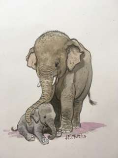 Pairi Daiza - Aquarelle originale - Page volante - EO | Catawiki