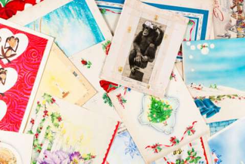 Norcross Greeting Card Artist - Greeting Card Paintings and Illustrations Original Art Group of 95 - | Heritage