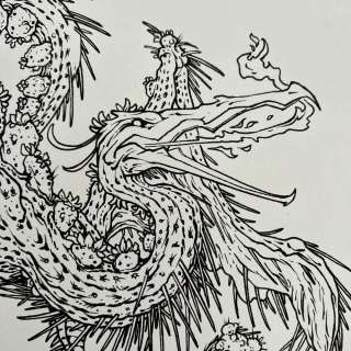 David Petersen | Heron Cactus Dragon | David Petersen