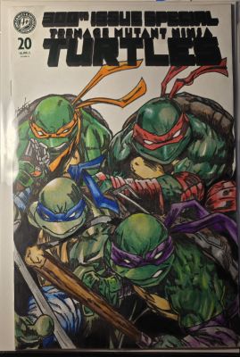 Hoodart01 | Teenage Mutant Ninja Turtles 300th Issue Special #20 | Raremarq (Buy It Now)