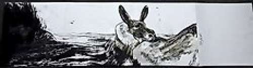 Ricci, Stefano | Ricci, Stefano - Dessin original couleur - Âne sur la plage | Catawiki