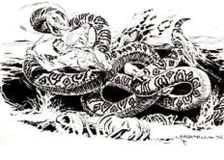 Carlo Raffaele Marcello | Tex - Carlo Raffaele Marcello - illustrazione originale - Page volante - Exemplaire unique - (1996) | Catawiki