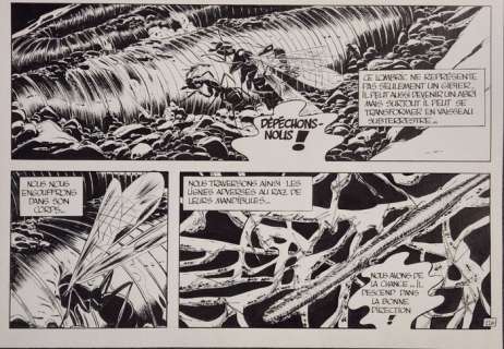 Serres, Patrice - 1 Demi-planche originale - Les Fourmis - 2001 | Catawiki