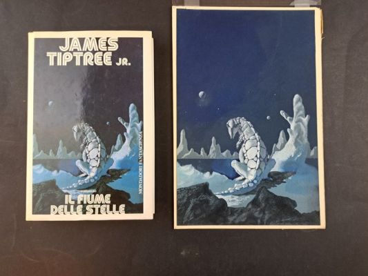 Thole, Karel - 1 Original cover - Il Fiume delle Stelle - 1987