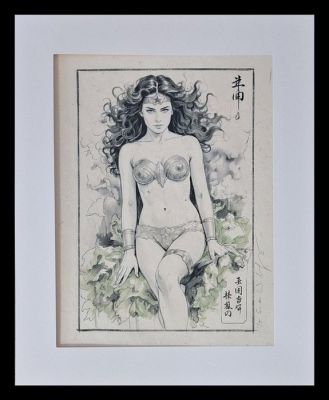 Emma Wildfang - Wonder Woman - Street Legends – Urban Sumi Edition | Catawiki