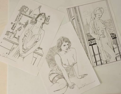 Luca Raimondo - 3 Original drawing - Luca Raimondo - 3 disegni preparatori - 2026 | Catawiki