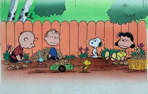 Golden Book "Where’s Woodstock?" (Golden Publishing, c.1988) | Animazing Gallery