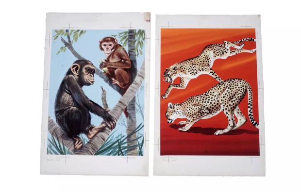 Lot 15 - Original wildlife studies by Edward Mortelmans for Tarzan Annual | Anderson & Garland