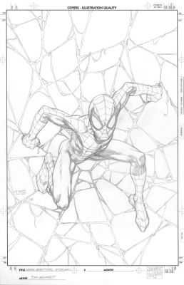 Tom Grummett | Grummett, Tom - Marvel Adventures: Spider-Man #? Cover! - $900 | ComicArtFans Classifieds