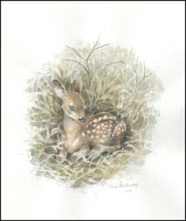 Hausman. Illustration originale Faon | BDEnchères