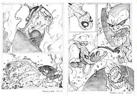 Spiderman - Spiderman VS SuperSkrull - Original Work - (2007)