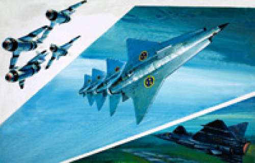 Graham Coton - Swedish Air Force