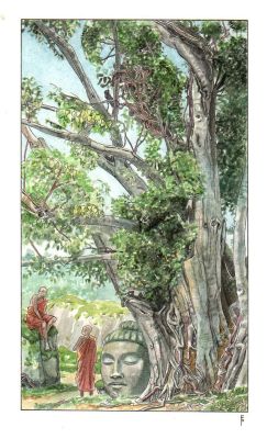 Federico Penco | L’albero della Bodhi | Tavole Originali