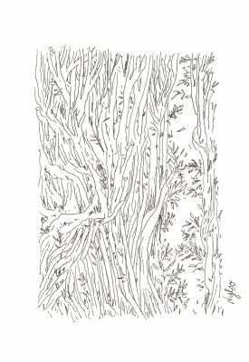 Nylso | 2025 - Sans titre | Huberty Breyne Gallery