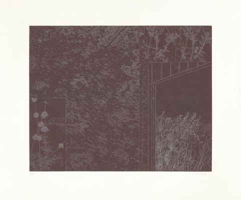 Louise Collet | 2025 - México mágico, Calle Miguel Sandoval, Villa de Guadalupe, Zapopan, Mexico | Huberty Breyne Gallery