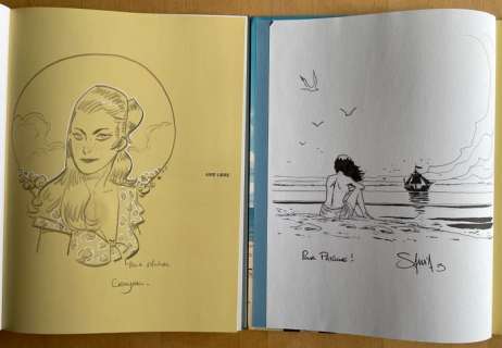 Cassegrain / Savoia / Divers Auteurs | Collection Aire Libre - 2 Albums + 2x dédicace - 2x C - EO - (2015/2019) | Catawiki