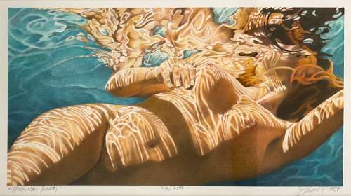 American Beauty - Signed & Numbered Giclee Print | Stuart Ng Books