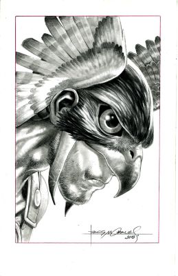 HAWKMAN by Rags Morales | Raremarq (Buy It Now)