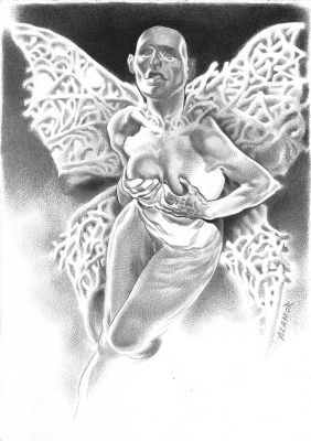 Mariposa | NRisso Art