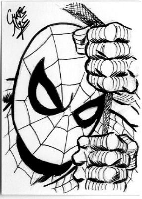 Chris Nye | Spiderman Sketchcard | Catskill Comics