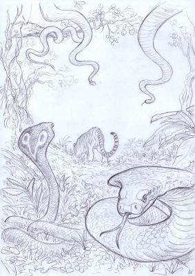 Federico Bertolucci | Love #1 [La tigre] vignetta 269 (splash page) | Krazy Art Gallery